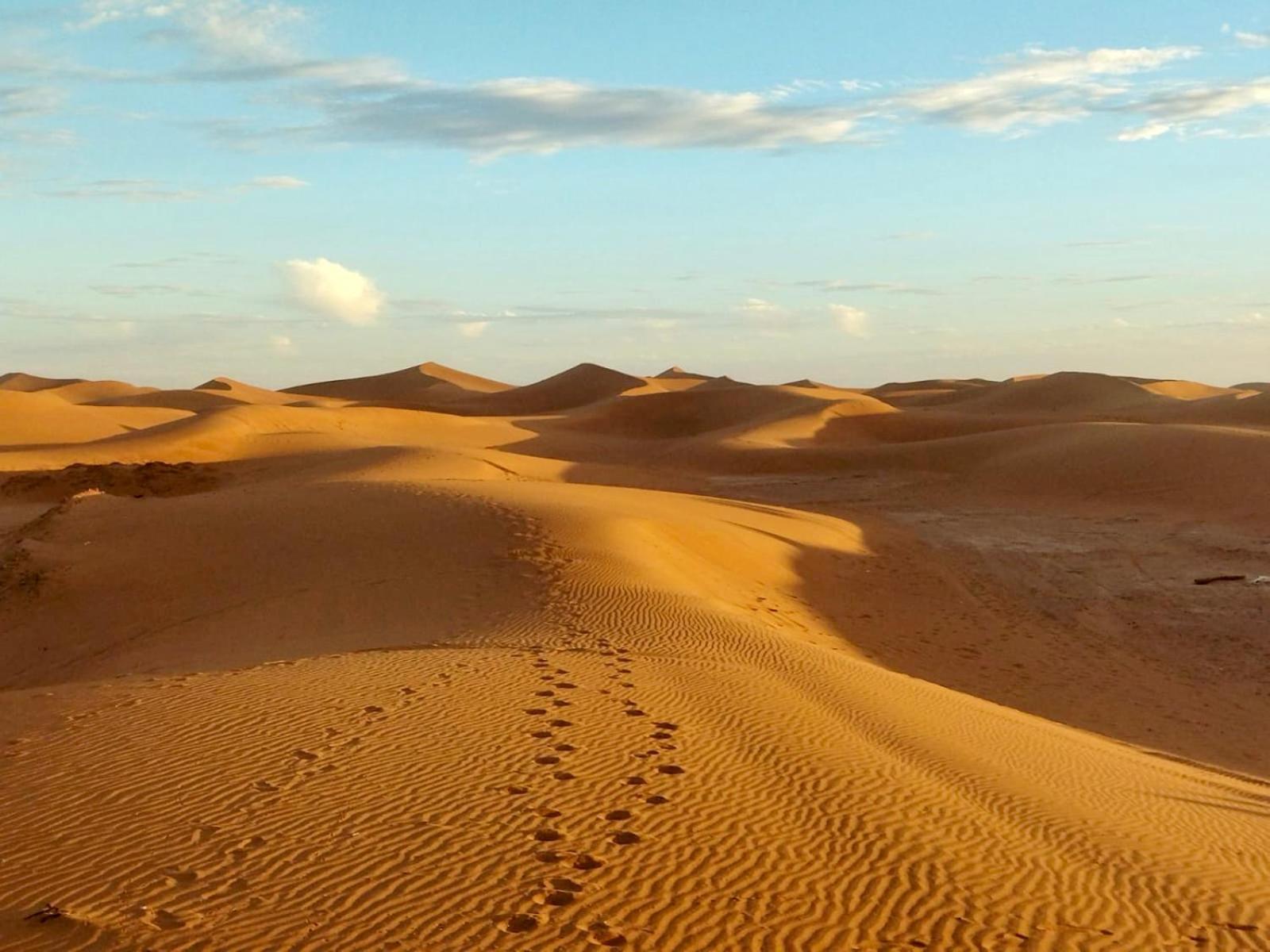 Desert Bivouac Mhamid Exterior photo